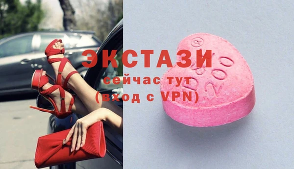 стафф Заводоуковск
