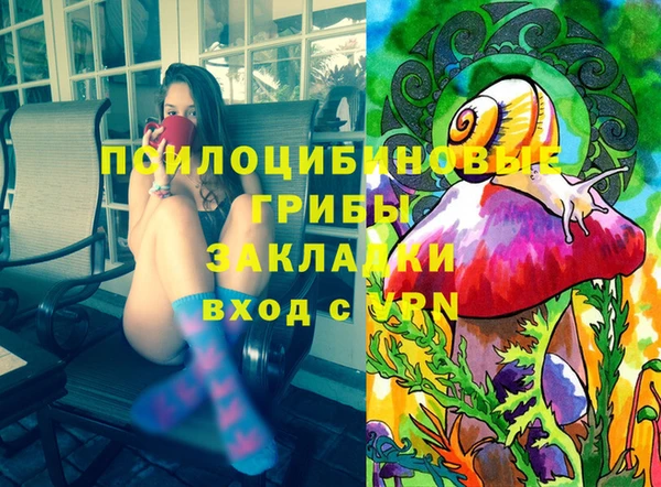 стафф Заводоуковск